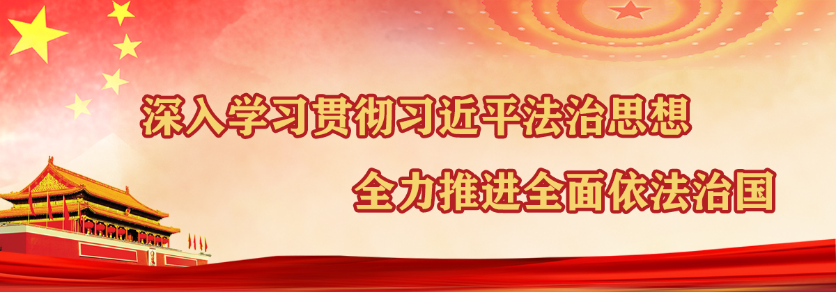 习近平法治思想